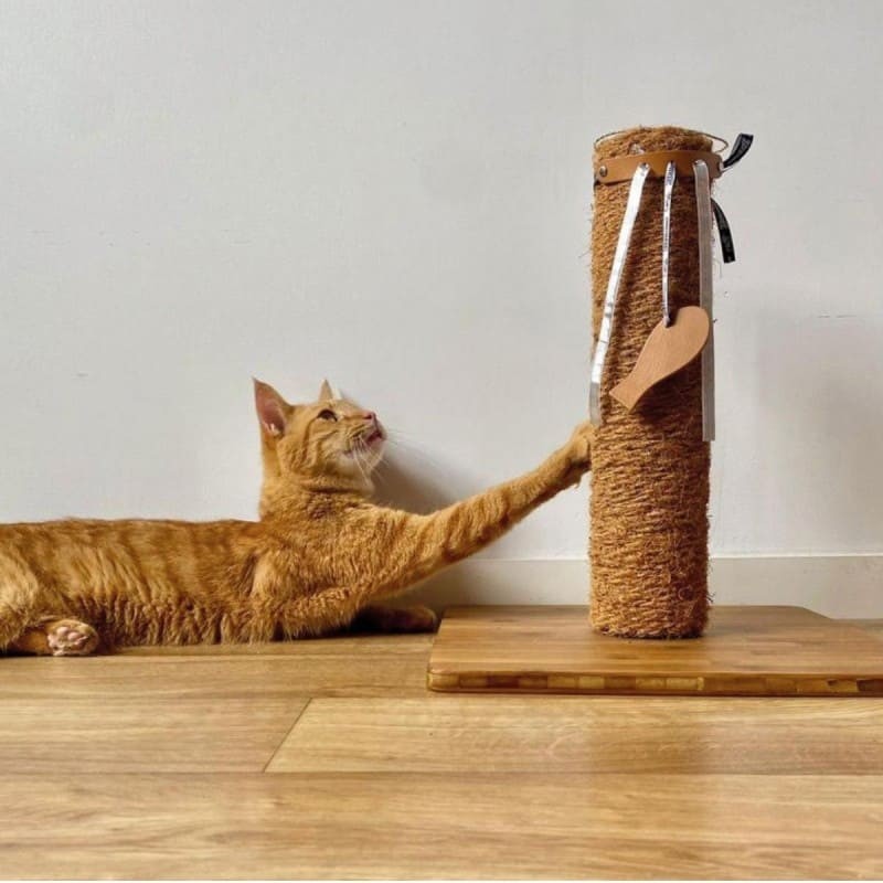 chat qui joue avec le jouet pour chat upcyclé en cuir l'enroulé MARTIN SELLIER
