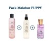 pack pour chien malabar PUPPY