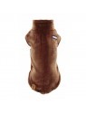 Polaire pour chien marron collection explorer martin sellier