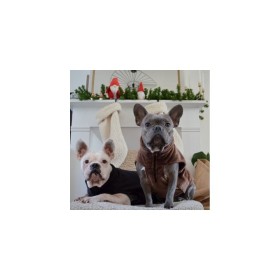 chiens avec la Polaire pour chien collection explorer martin sellier