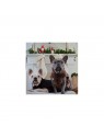 chiens avec la Polaire pour chien collection explorer martin sellier