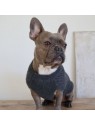 chien portant le Pull pour chien gris coeur martin sellier de dos
