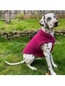 chien de profil portant la polaire pour chien framboise Douillette MARTIN SELLIER