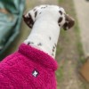 chien de dos portant la polaire pour chien framboise Douillette MARTIN SELLIER