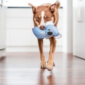 chien qui joue avec le Jouet durable pour chien koala Red Dingo