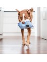 chien qui joue avec le Jouet durable pour chien koala Red Dingo