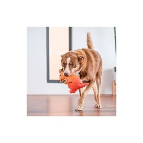 cien qui joue avec le Jouet durable pour chien kangourou Red Dingo