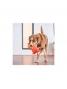 cien qui joue avec le Jouet durable pour chien kangourou Red Dingo
