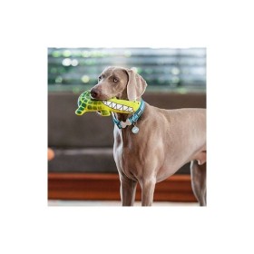 chien qui joue avec le Jouet durable pour chien crocodile Red Dingo