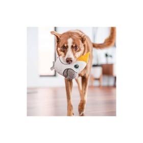 chien qui joue avec le Jouet durable pour chien Cacatoes Red Dingo