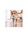 chien qui joue avec le Jouet durable pour chien Cacatoes Red Dingo