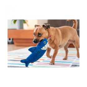 chien jouant avec le Jouet durable pour chien requin Red Dingo