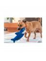 chien jouant avec le Jouet durable pour chien requin Red Dingo
