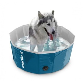 chien dans la Piscine pour chien bleue Martin Pool MARTIN SELLIER