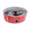 chien dans la piscine pour chien rouge Martin Pool MARTIN SELLIER