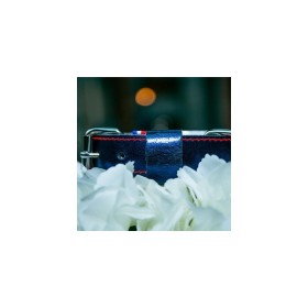 Collier pour chien en cuir bleu nuit métallisé Dakota MARTIN SELLIER posé sur des fleurs