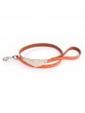laisse pour chien en cuir dorée orange avec bandana miami martin sellier
