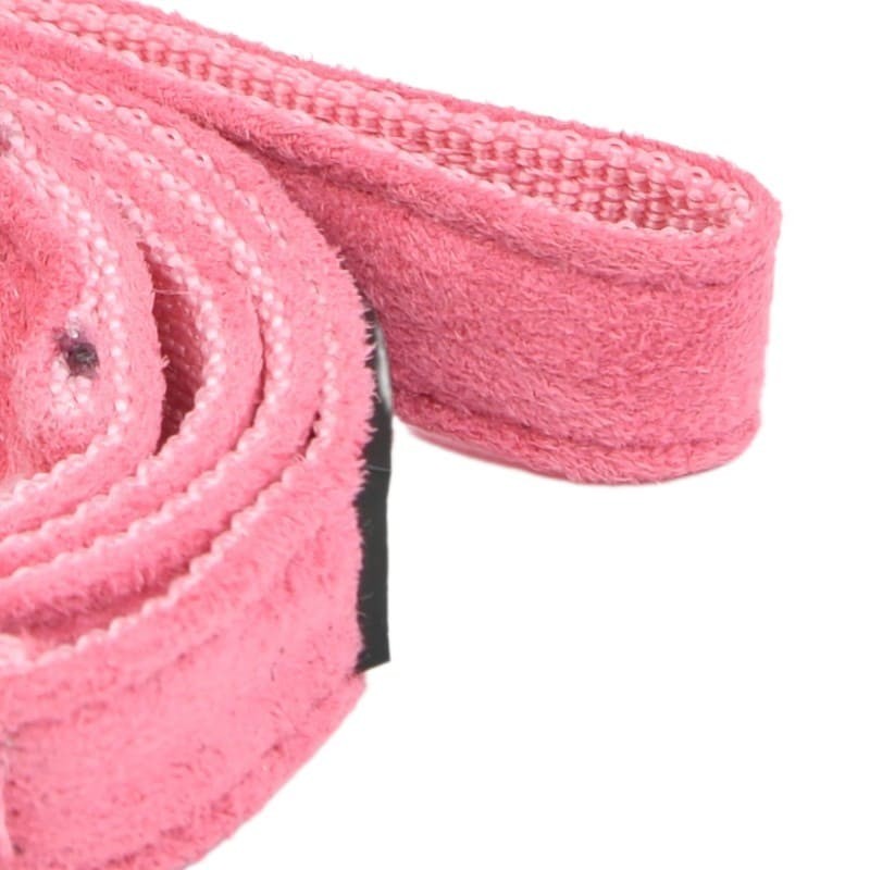 poignée de la Laisse pour chien rose TERRY Puppia