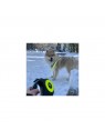 chien dans la neige avec la laisse pour chien rétractable sangle fluo jaune martin sellier
