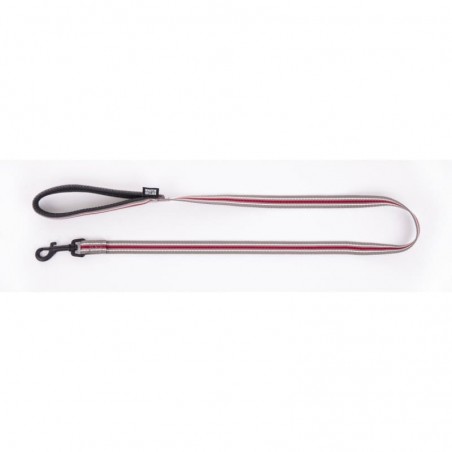 Laisse pour chien trio gris MARTIN SELLIER