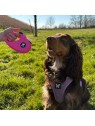 chien à l'extérieur tenu par la laisse pour chien rétractable sangle rose instinct martin sellier