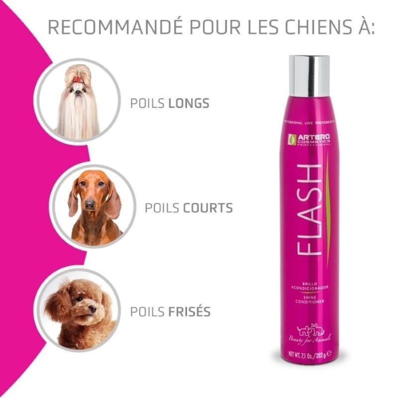 recommandations après shampooing pour chat flash Artero