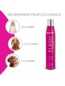 recommandations après shampooing pour chat flash Artero