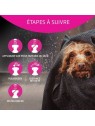 conseils d'utilisation après shampooing pour chat flash Artero