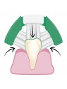 dessin utilisation brosse à dents pour chat triple tête Bugalugs