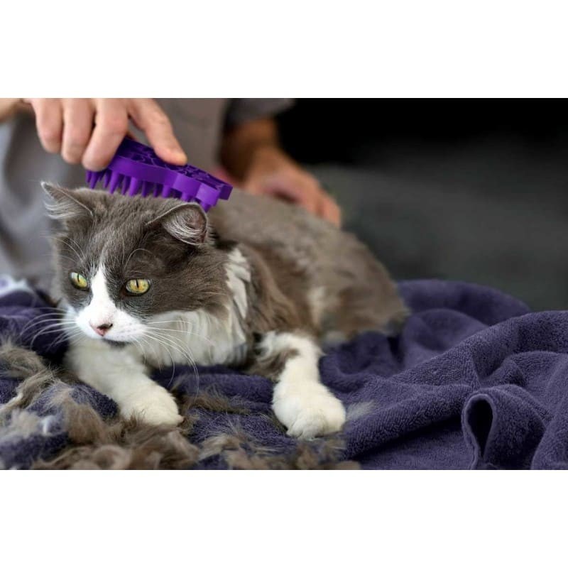 chat brossé avec la brosse pour chat zoom groom kong