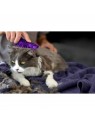 chat brossé avec la brosse pour chat zoom groom kong