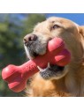 chien avec le Jouet pour chien Goodie Bone KONG dans la gueule