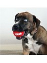chien avec une Ball pour chien Signature Sport KONG de couleur rouge dans la gueule