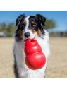 Chien à l'extérieur avec le Jouet pour chien Bounzer KONG dans la gueule