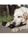 Chien à l'extérieur qui machouille le jouet pour chien extreme Goodie Bone KONG