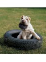 chien sur l'herbe dans un gros pneu avec le Jouet pour chien Tyre Extreme KONG dans la gueule