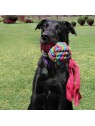 chien dans l'herbe avec un Jouet pour chien Wubba Weaves KONG rose dans la gueule