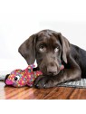 chien avec le Jouet pour chien Wubba Finz KONG dans la gueule