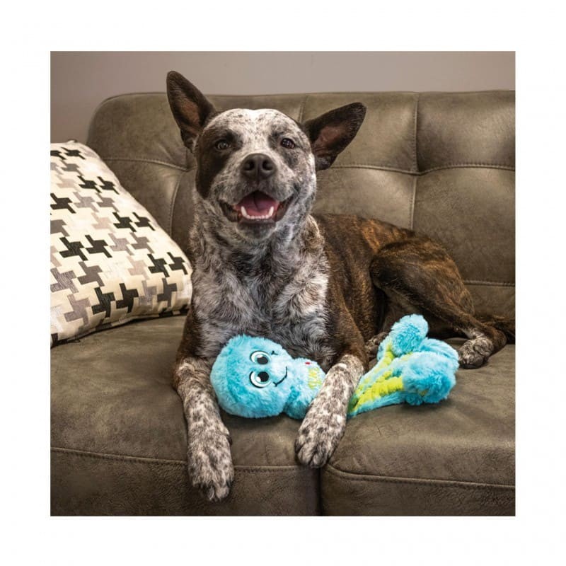 Chien allongé sur un canapé avec le Jouet pour chien Wubba Octopus KONG entre les pattes