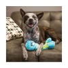Chien allongé sur un canapé avec le Jouet pour chien Wubba Octopus KONG entre les pattes