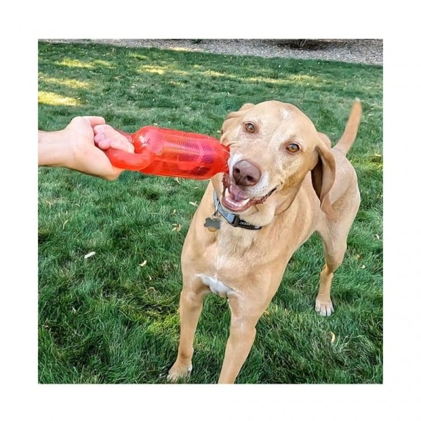 chien dans l'herbe qui joue au jeu de tirer avec le Jouet pour chien jumbler tug KONG