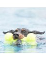 Chien dans l'eau qui tient dans la gueule un Jouet pour chien airdog squeaker bone KONG