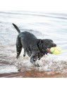 chien qui joue dans l'eau avec le jouet pour chien squeaker rugby KONG