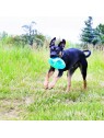 chien qui joue dans l'herbe avec le Jouet pour chien jumbler football KONG