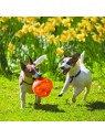 deux chiens qui jouent à l'extérieur avec le Jouet pour chien Jumbler ball KONG