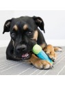 chien qui mastique un Jouet pour chien os corestrength KONG