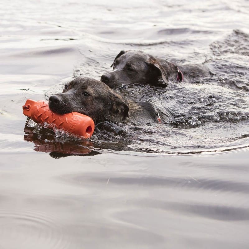 Chiens dans l'eau avec le Jouet flottant pour chien training dummy KONG dans la gueule