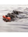 Chiens dans l'eau avec le Jouet flottant pour chien training dummy KONG dans la gueule