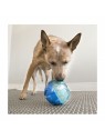 chien qui joue avec le Distributeur de friandises pour chien reward ball KONG
