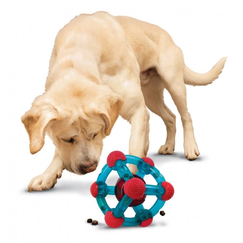 Chien qui joue avec le Distributeur de friandises pour chien rewards tinker KONG